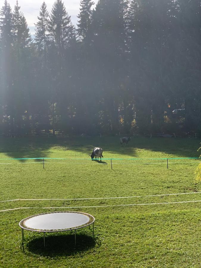 شقة Birkenhof لوتاش المظهر الخارجي الصورة
